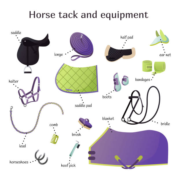 馬鋲および装置の様々 な要素を持つベクター コレクション。乗馬、トレーニング、馬術スポーツ器具 - saddle blanket点のイラスト素材／クリップアート素材／マンガ素材／アイコン素材