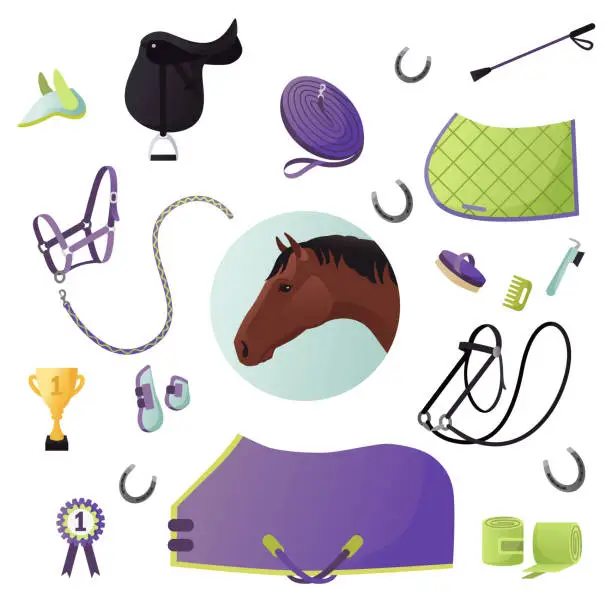 Vector illustration of Vector collection of various elements of equine, horse tack and equipment. Horse riding, training and equestrain sport gear