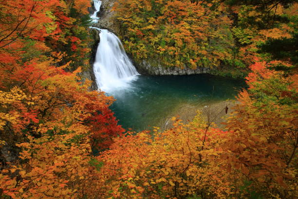 istock Autumnal hottai Falls 1026415730