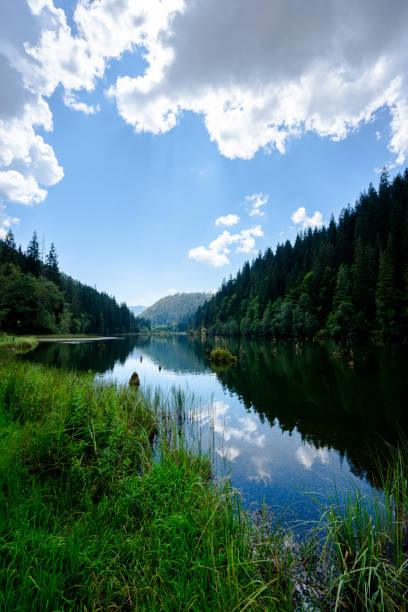 istock Transylvanian Romania Red Lake Lacu Rosu 1026427786