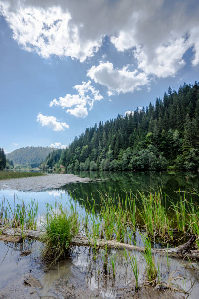 istock Transylvanian Romania Red Lake Lacu Rosu 1026427802