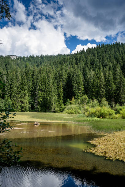 istock Transylvanian Romania Red Lake Lacu Rosu 1026427826