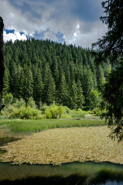 istock Transylvanian Romania Red Lake Lacu Rosu 1026427832