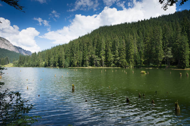 istock Transylvanian Romania Red Lake Lacu Rosu 1026427834