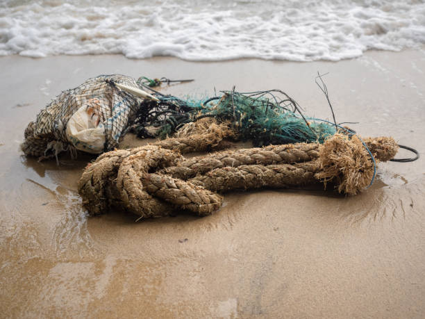 istock Discarded fishing net and rope on the beach 1026430334