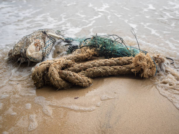 istock Discarded fishing net and rope on the beach 1026430348