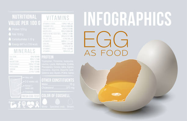 Egg infographics. Egg as food. Design template, vitamins and minerals. Benefit of egg. Vector illustration
