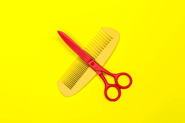 istock Flat lay composition with professional hairdresser tools on color background 1026448358