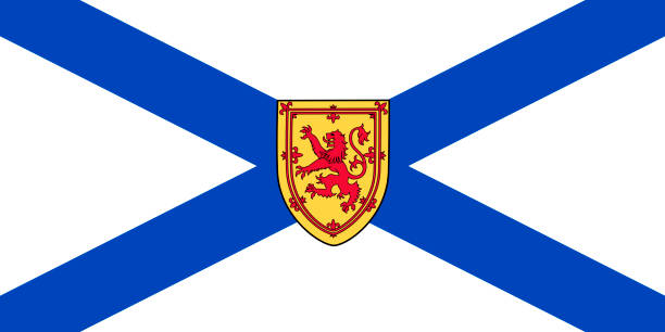 ilustraciones, imágenes clip art, dibujos animados e iconos de stock de vector bandera de la provincia de nova scotia canadá. halifax, cape breton - toronto canada flag montreal