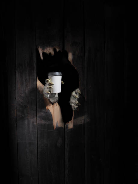 Zombie hand through hole cracked in rustic wood.Halloween theme Zombie hand through hole cracked in rustic wood.Halloween theme. gross coffee stock pictures, royalty-free photos & images