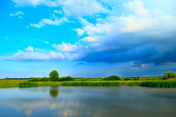 istock Landscape with lake surrounded with cane and big clouds 1026456592