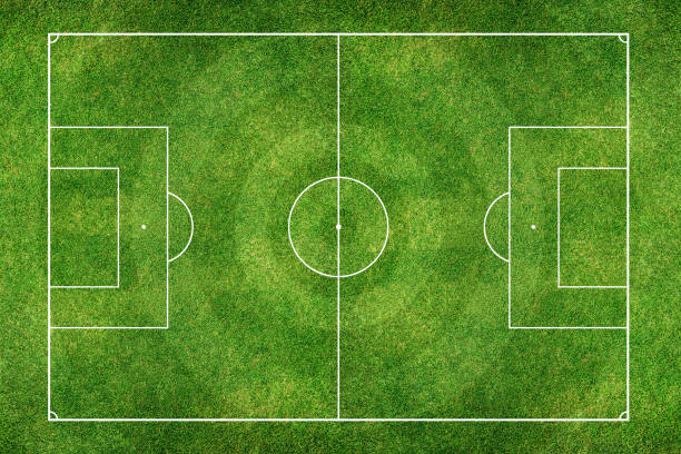 istock Green Football Stadium field 1026457542