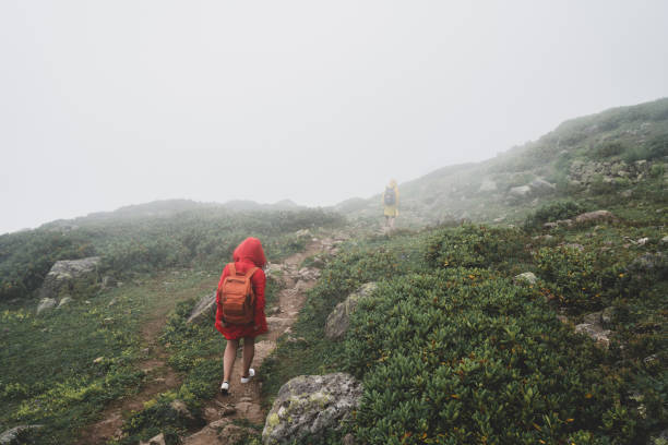 istock Backpacker Hiking Journey Travel concept with friends. 1026458314