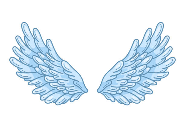 istock A pair of angel wings with sky blue feathers, wide spread. Contour drawing in modern line style with volume. Vector illustration isolated on white. 1026481186