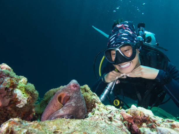 istock Asian female diver smiling, looking at an octopus 1026481392