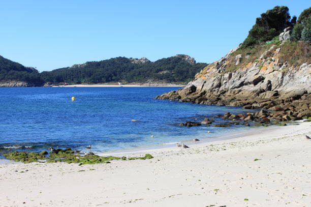 istock Bolos beach in Cies islands 1026484350