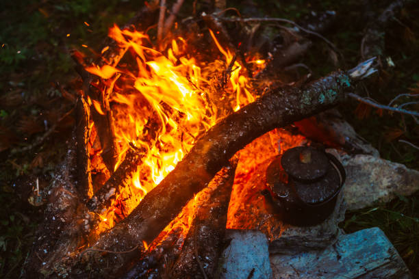 istock Boiling of tea in kettle on bonfire with large firewood. Tea drinking in open air. Active outdoor recreation. Camping in dusk. Romantic warm atmosphere in twilight on nature. Active rest. 1026485638