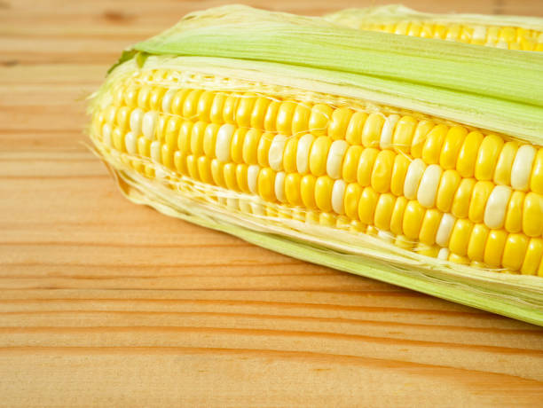 istock Ears of bicolor sweet corn 1026488152
