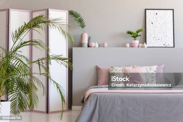 Pink Pillows On Grey Bed In Pastel Bedroom Interior With Palm And Poster On Bedhead Real Photo Stock Photo - Download Image Now