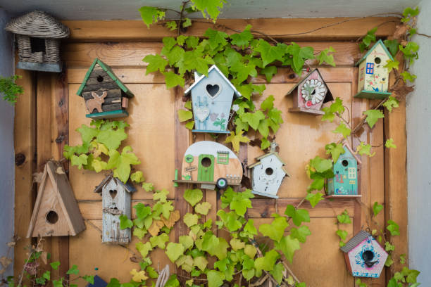 decorativa de madeira feita bird´s ninho. com plantas em torno dele - birdhouse birds nest box isolated - fotografias e filmes do acervo