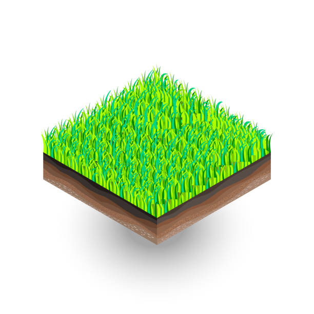 istock The isometric piece of soil with the grass 1026499030