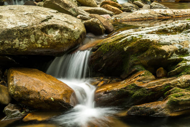 istock West Prong Little Pigeon River 1026502960