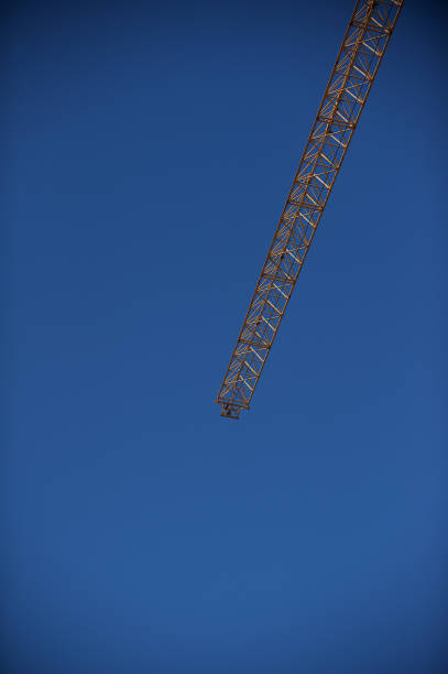 A Yellow Crane low angle view against a clear blue sky Cape Town South Africa