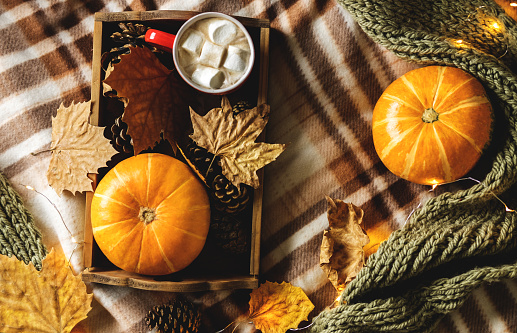 Autumn still life from tray full of pumpkin, leaves, cones, scarf, mug of cocoa, coffee or hot chocolate with marshmallow on plaid with garland. Concept warm home comfort