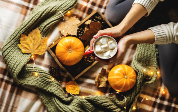 Autumn still life from tray full of pumpkin, leaves, cones, scarf, mug of cocoa, coffee or hot chocolate with marshmallow on plaid with garland. Woman's hand holding cup. Concept warm home comfort. stock photo