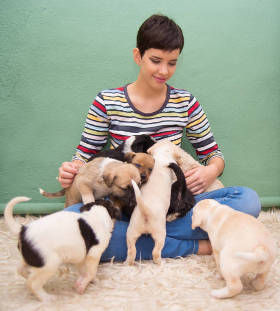 istock Happy woman playing with puppies 1026530264