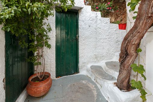 Traditional wooden door painted green , stone house, beautiful vine plant for shadow purposes . Castrillo de los Polvazares, León, Castilla y León, Spain.