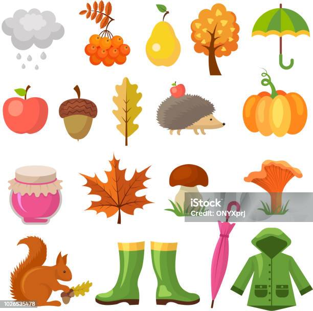 Autumn Colored Symbols Vector Icon Set Of Autumn Stock Illustration - Download Image Now - Autumn, Acorn, Raincoat