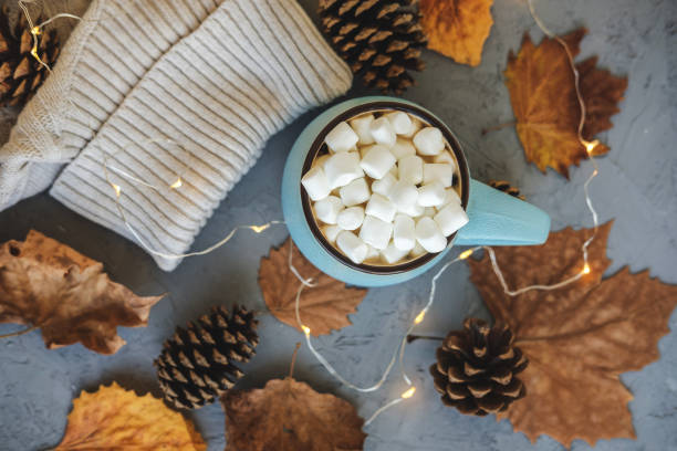 istock Blue mug with coffee, hot chocolate or cocoa with marshmallow on gray concrete background and lying dry leaves, cones, sweater, garland. Concept of warm cozy autumn or winter. 1026555702