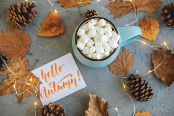 istock Blue mug with coffee, hot chocolate or cocoa with marshmallow on gray concrete background and lying dry leaves, cones, garland, sign Hello Autumn. Concept of warm cozy autumn. 1026556084