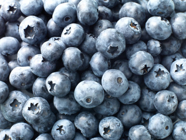 istock Group of blueberries 1026556260