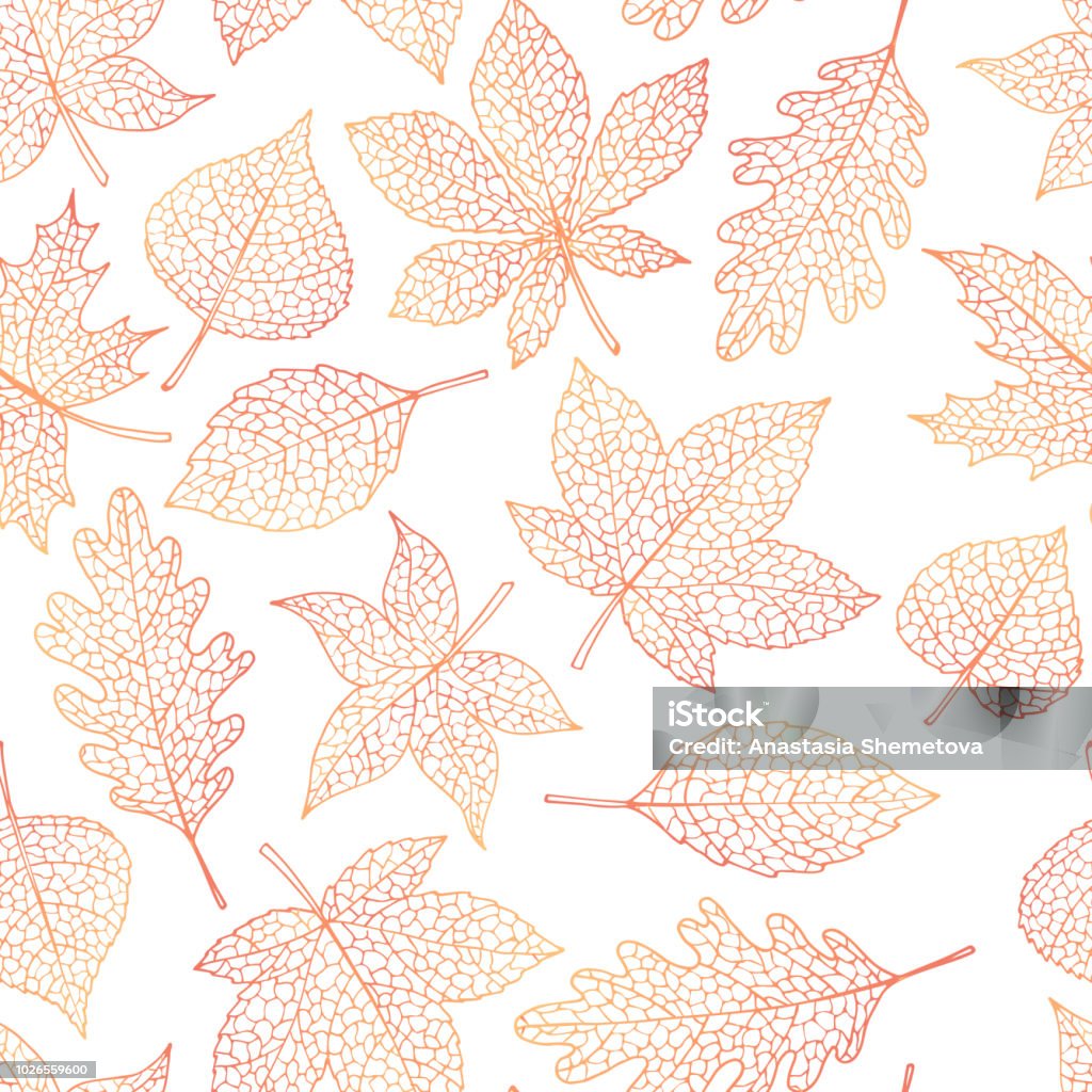 Vector otoño de patrones sin fisuras con roble, álamo, haya, arce, aspen y la castaña de caballo hojas de contorno sobre el fondo blanco. Arte de línea caída del follaje. - arte vectorial de Otoño libre de derechos