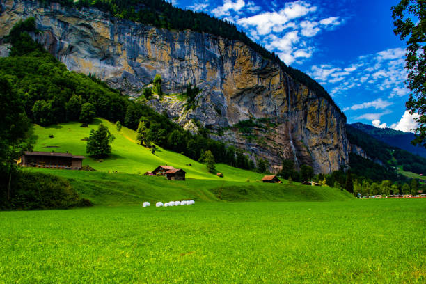 lauterbrunnen, szwajcaria - jungfrau waterfall tree nature zdjęcia i obrazy z banku zdjęć
