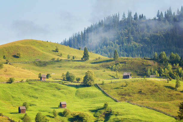 istock Sunrise in Bukovina 1026586888