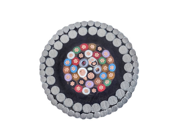 istock cross section armored cable isolated on white. 1026587338