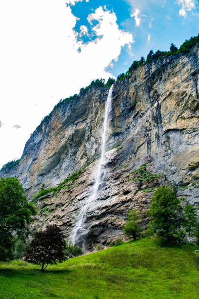 wodospad staubbach w: lauterbrunnen - jungfrau waterfall tree nature zdjęcia i obrazy z banku zdjęć