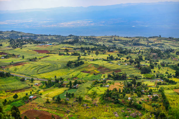 vista desde kerio escarpa kenia de tierras de labranza, con el gran valle del rift más allá del paisaje. - valle del rift fotografías e imágenes de stock