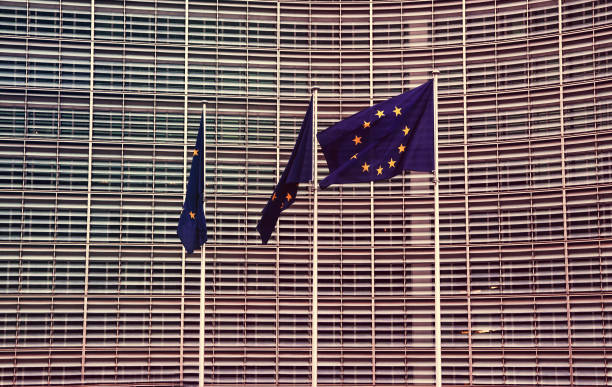 European Union Flag Three european union flags are together. european court of human rights stock pictures, royalty-free photos & images