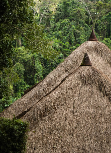 istock Bamboo Thatched roof in Bali 1026596806