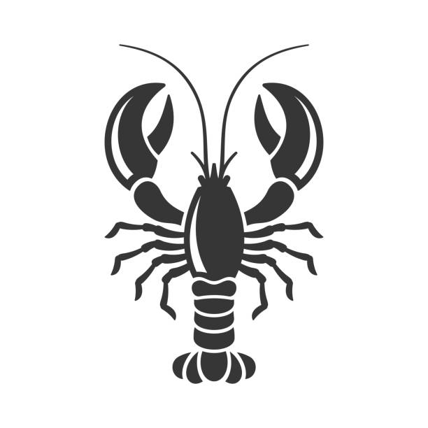 흰색 바탕에 랍스터 실루엣 아이콘입니다. 벡터 - lobster seafood prepared shellfish crustacean stock illustrations