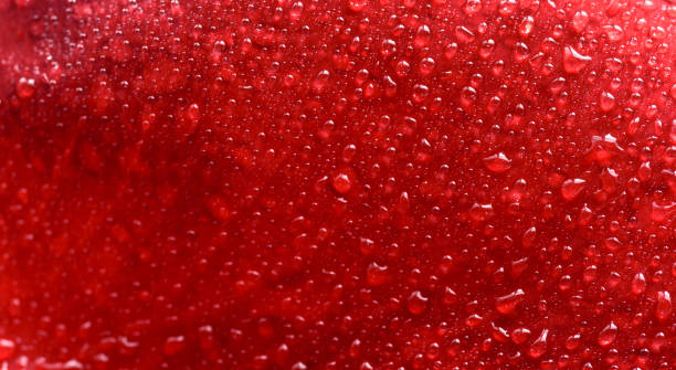 istock Water drop on red rose petal. 1026603532