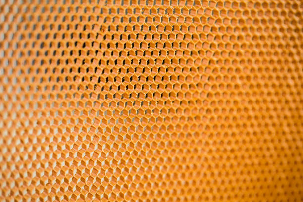 istock Close up view of a High Temperature Honeycomb Sandwich Raw Material 1026603890