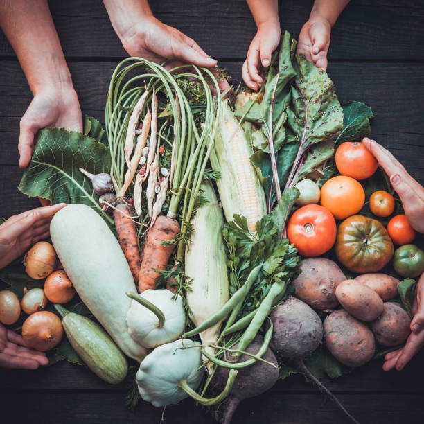 istock Fresh rustic organic harvest, farmer produce 1026604002