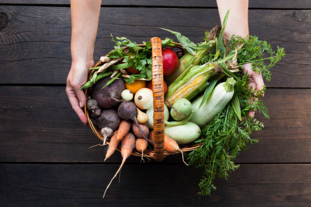 istock Fresh farm vegetables, raw organic agriculture 1026604284