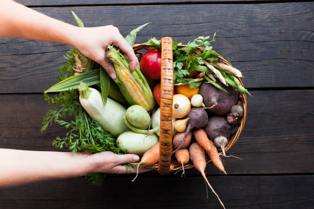istock Fresh rustic organic harvest, farmer produce 1026606120