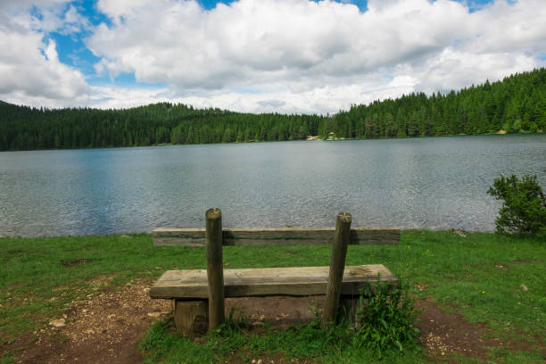 istock Bench on the lake shore 1026606296